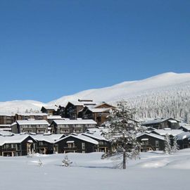 Illustrasjon av Estatia Resort Norefjell ( Bøsetra ) Hotell og leilgheter